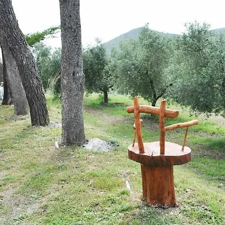Hébergement de vacances Saha Splendida Dimora Immersa Tra Gli Ulivi *